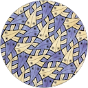 Lael Blass profile picture